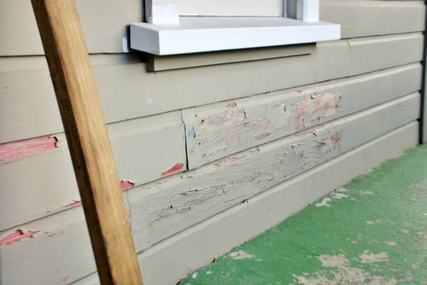 Best Stucco Siding  in Watertown, FL